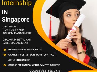 study & internship in Singapore