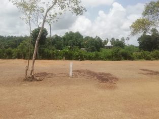 Land For Sale In Bentota – Induruwa