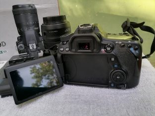 Canon 80D camera with 18-135mm nano usm lens