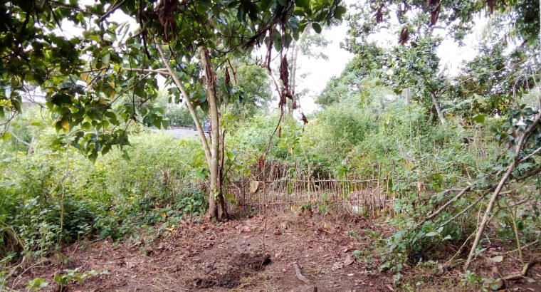 Thudugala Land for sale